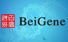 �����������������и�Ϊ�����İ�ȫ�Ժ���Ч��