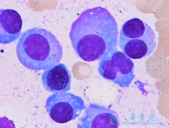 �෢�Թ���������