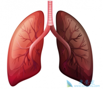 ���ٰ���֢״����Щ��