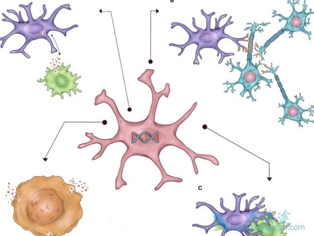 ϸ�����ӷ籩
