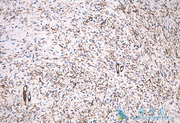 ˾������