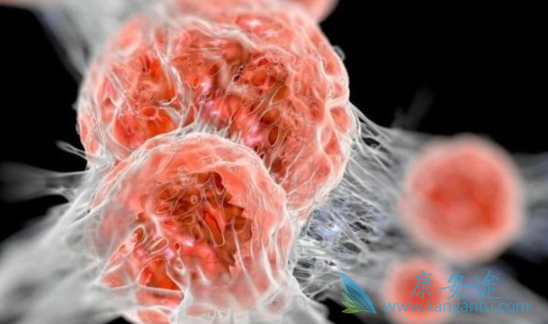 �����Ʒ�