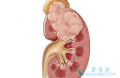 �����Ʒ���������ת��Ч����