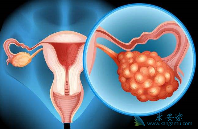 �ѳ�������