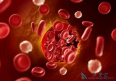 ʲô��Ѫ�����Ͱ�Ѫ����ʲô��ϵ��