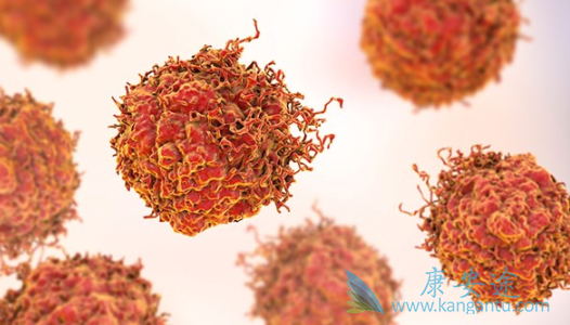 ������ܰ���