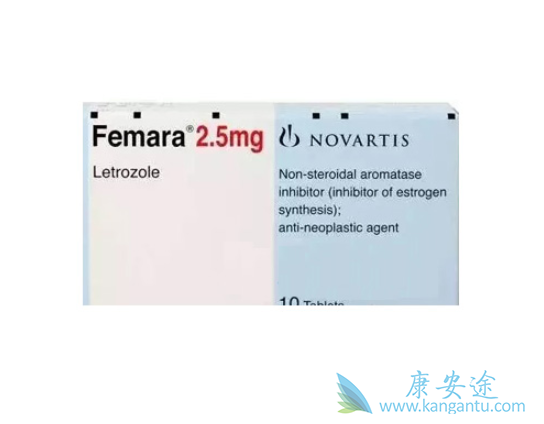 ������Ƭ