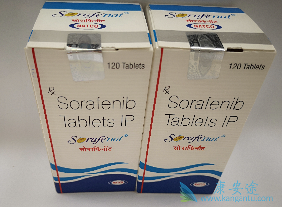 �༪���۸�