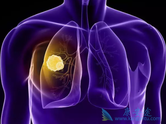 �ΰ�EGFR�е�