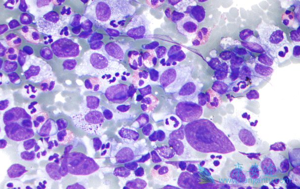 ������ܰ���