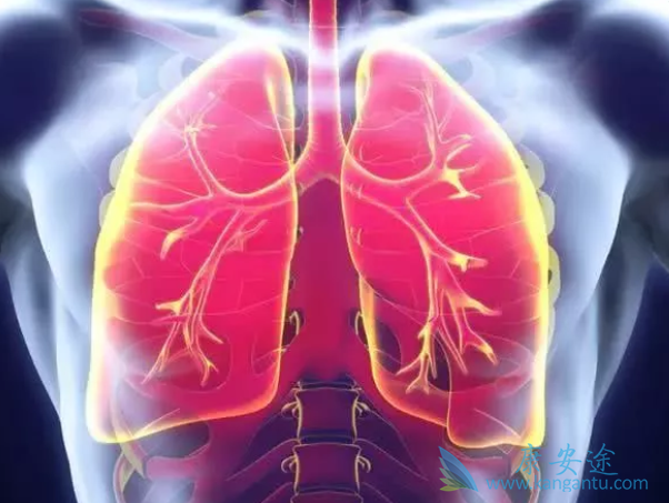 ���ڷΰ�����