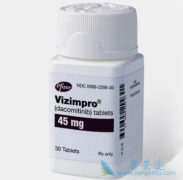 �뼪��������ȴ������(VIZIMPRO)�����Ը��Ʒΰ�������