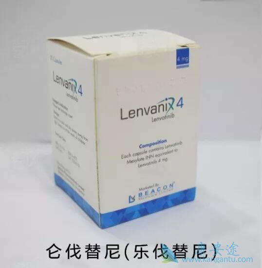 �ط�����