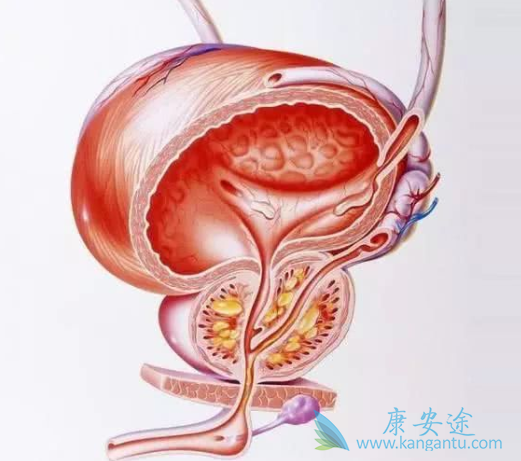 ǰ���ٰ�����