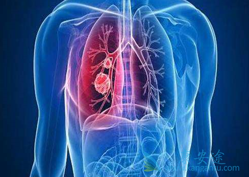 �ΰ����Ʒ���