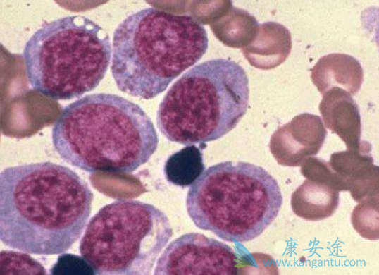 ������ܰ���