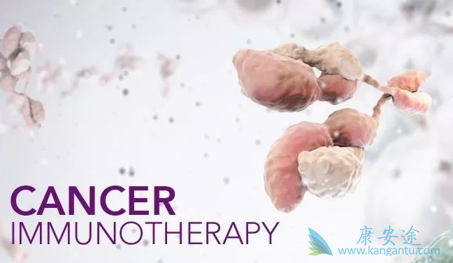 �����Ʒ�