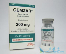 ��������(Gemzar)�ͼ�����ʱ��עͬ���������õ���Ч��