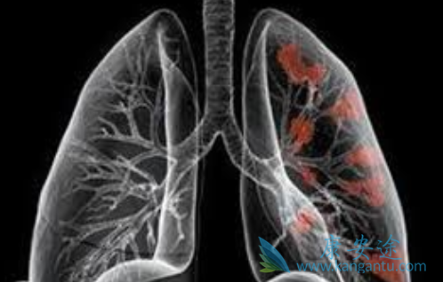 �ΰ�EGFRҩ��