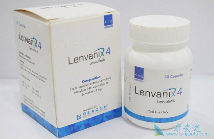 �ط�����