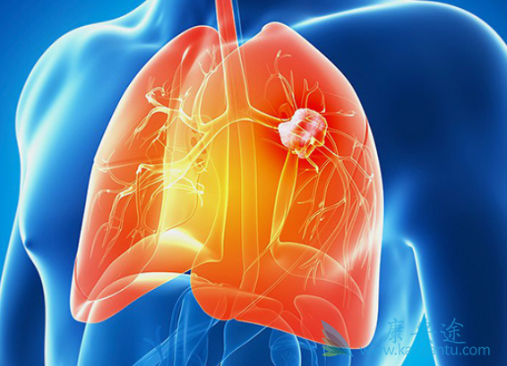 �ΰ�EGFRҩ��