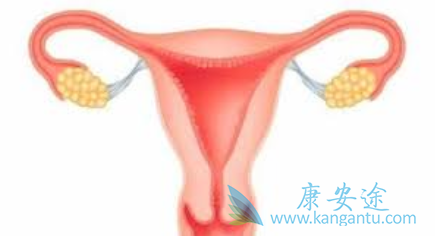 �����ѳ���