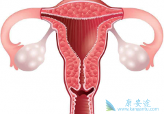 �Ƚϳ������ѳ������Ʒ�������Щ��