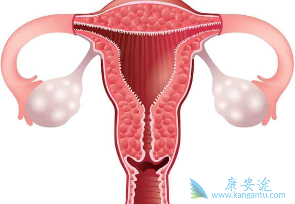 �ѳ������Ʒ���