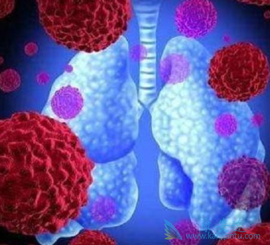 ���ڷ��۰�