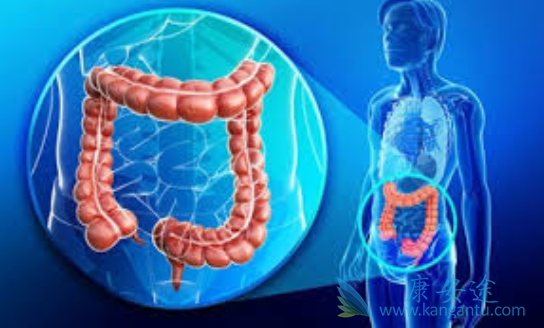 ת���Խ�ֱ����