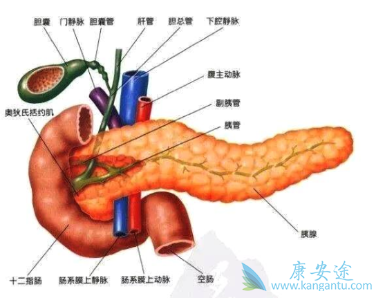 �������ٰ���֢״