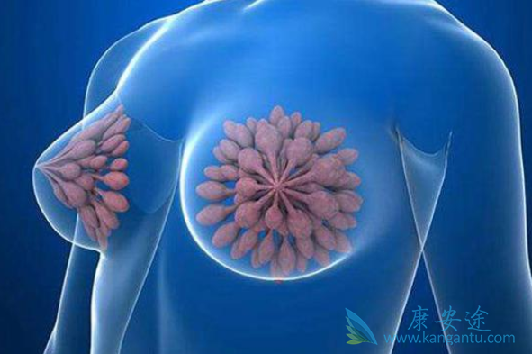 �������ٰ�