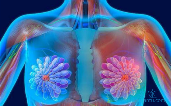 �ڷ�������