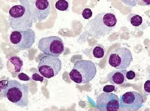 �෢�Թ�����