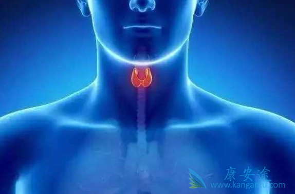 ��״�ٰ�����