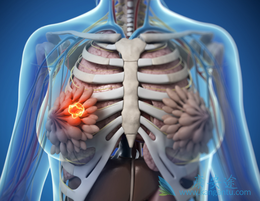 ���ٰ������ܻ���