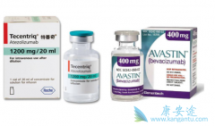 ����˹͡���ϰ����鵥�����ӳ������������ߵ��޽�չ������