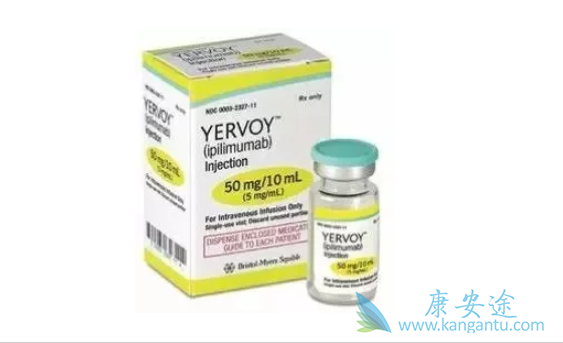 伊匹单抗 伊匹单抗