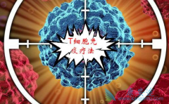 ��Щ�������߸��ʺ�ѡ��ϸ�������Ʒ��������ƣ�