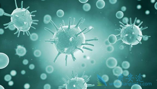 ϸ�����ӷ籩