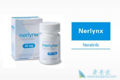 �����������Ͽ���������������HER2�������ٰ���ת����Ч