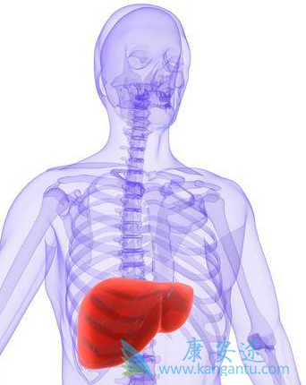 ���ε�������Ʒ���;�Ҹ�