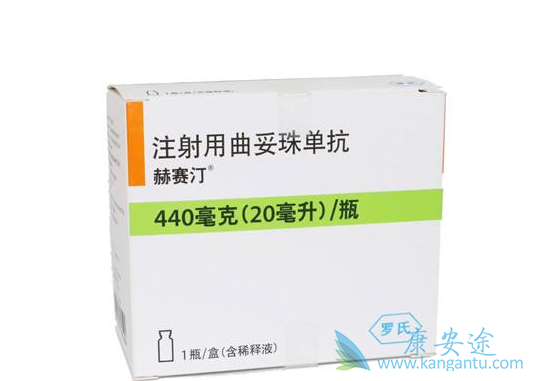 ����͡����Ч