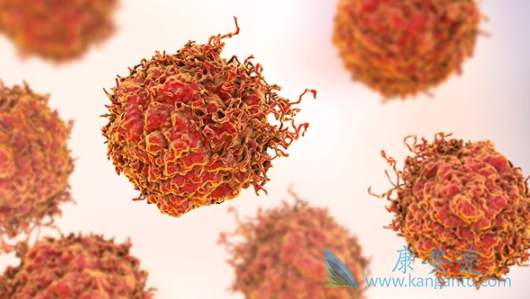 ������ܰ���