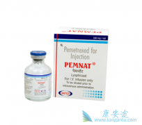 ���������ܴ������������������Ʒΰ���