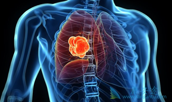 �ΰ�EGFRҩ��