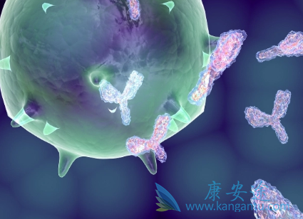 ���ڰ��װ�