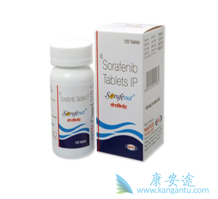 ��������Ƭ