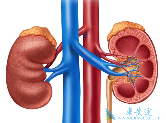 ����ת��