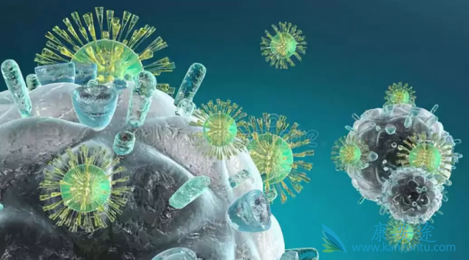 ϸ�������Ʒ�;��֢